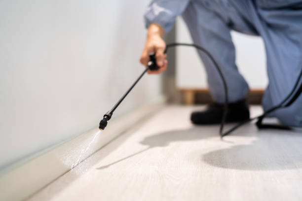 Licensed Mosquito Control service in Nellysford, VA - Show Me Pest Control