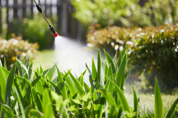 24/7 Emergency Mosquito Control experts in Nellysford, VA