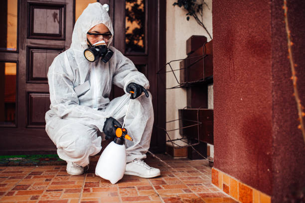 Reliable Mosquito Control contractor in Nellysford, VA by Show Me Pest Control